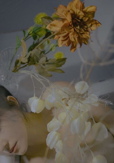 桃花视频在线免费观看_DVD在线观看视频