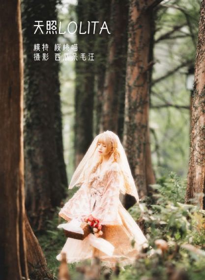 人生之路1一50集在线_在线影院观看