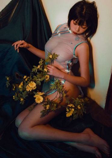 幻影忍者动画片_BD国语免费全集观看